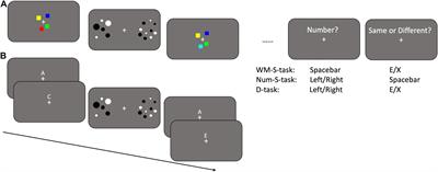 Resources Underlying Visuo-Spatial Working Memory Enable Veridical Large Numerosity Perception